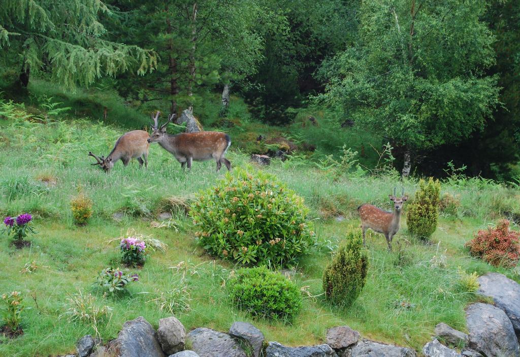 Dunlichity House Bed And Breakfast Inverness Buitenkant foto